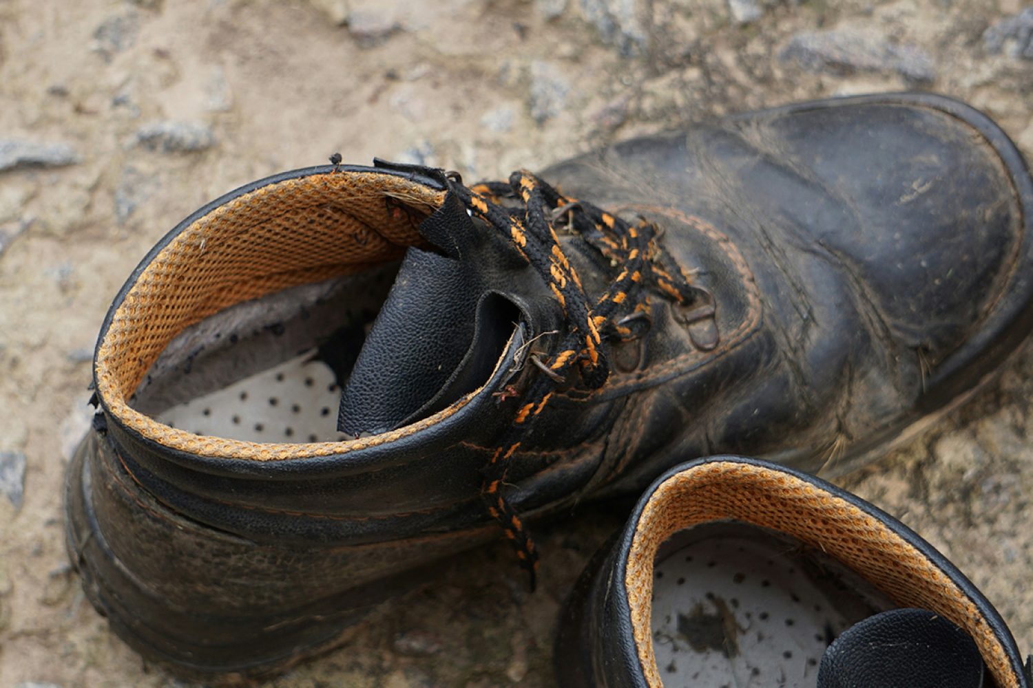 Moisissure sur les chaussures : quels dangers pour la santé et comment s’en protéger ?