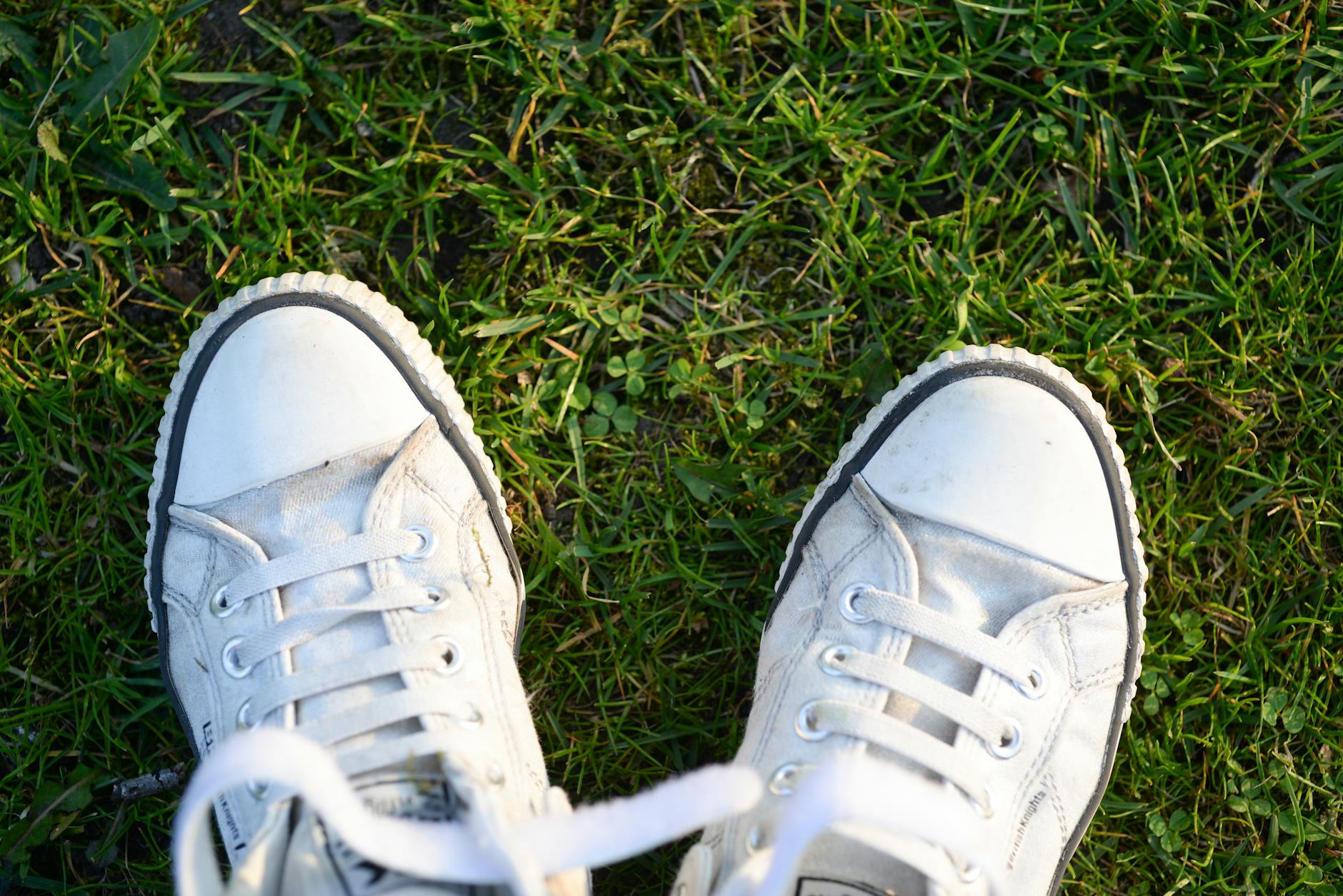 Nettoyage de base des lacets blancs : les bons réflexes avant de sortir le percarbonate — lacets blancs propres avec vinaigre